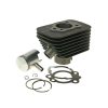 Cylindersats 50cc 10mm Kolvpinn För Piaggio Boss, Bravo, Ciao, Grillo, Si 101 OCTANE 10mm – miniatyr 1