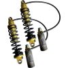 Dämpare Revo Arc Fjäder Guld LEGEND SUSPENSION Stötdämpare – miniatyr 1
