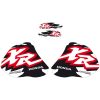 Dekalkit Blackbird Racing – miniatyr 2