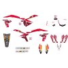Dekalkit FACTORY GRAFIK BLACKBIRD RACING – miniatyr 2