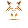 Dekalkit Orange/vit Vinyl C-RACER Grafikkit – miniatyr 1