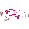 Dekalkit Retro Rosa/vit BLACKBIRD RACING Grafikkit – miniatyr 1