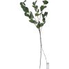Dekorationskvist Eucalyptus Grön Star Trading – miniatyr 1