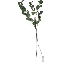 Dekorationskvist Eucalyptus Grön Star Trading