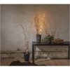 Dekorationskvist Willow DewDrop Natur Star Trading – miniatyr 11