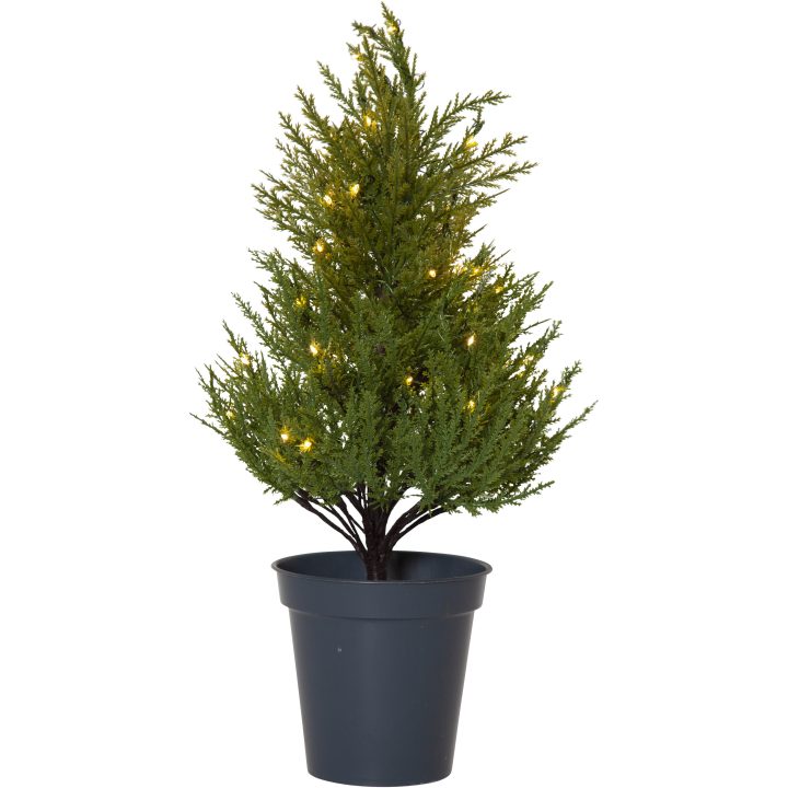 Dekorationsträd Thuja STAR TRADING – bild 15