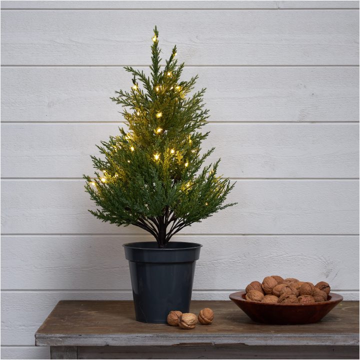 Dekorationsträd Thuja STAR TRADING – bild 8