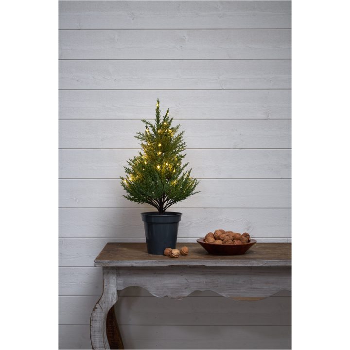 Dekorationsträd Thuja STAR TRADING – bild 7