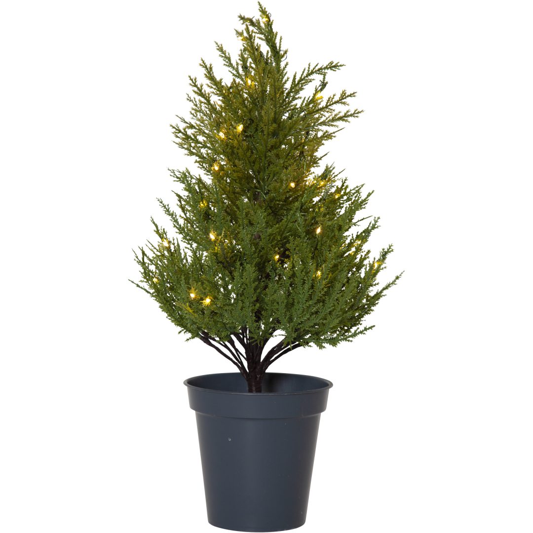 Dekorationsträd Thuja STAR TRADING – bild 16