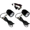 Dimljus Probeam® Led Halo Klar/Svart CUSTOM DYNAMICS Dimljus – miniatyr 1