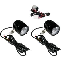 Dimljus Probeam® Led Halo Klar/Svart CUSTOM DYNAMICS