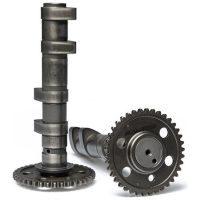 Double Power Cam Camshaft MALOSSI