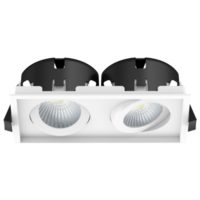 Downlight LED DL WLD reko II tilt 36g 3K v Westal