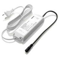 DRIVDON 40W 700MA FASDIM