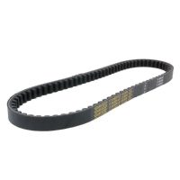 Drivrem Plus Drive DAYCO