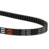 Drivrem Premium JT DRIVE BELTS Svart – miniatyr 2