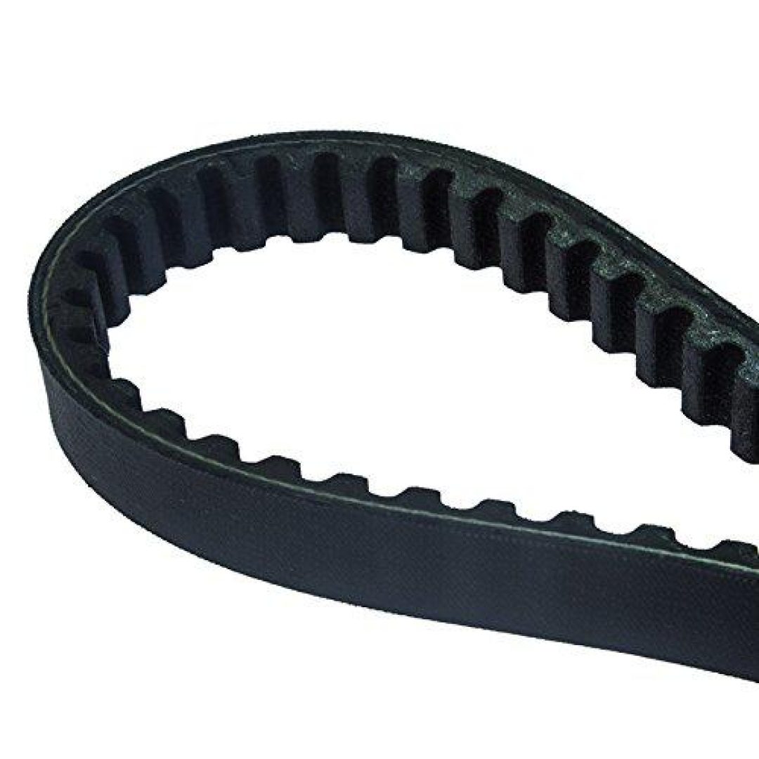 Drivrem Standard DAYCO