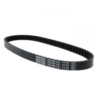 Drivrem Standard DAYCO