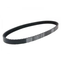 Drivrem Standard DAYCO