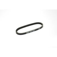 Drivrem Standard DAYCO