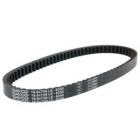 Drivrem Standard DAYCO