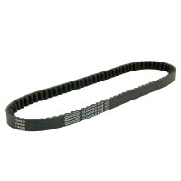 Drivrem Standard DAYCO