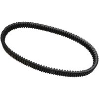 Drivrem XTX Dayco