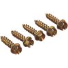 Dubb Original Guld GOLD SCREWS – miniatyr 1