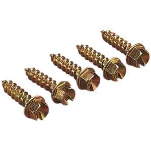 Dubb Original Guld GOLD SCREWS