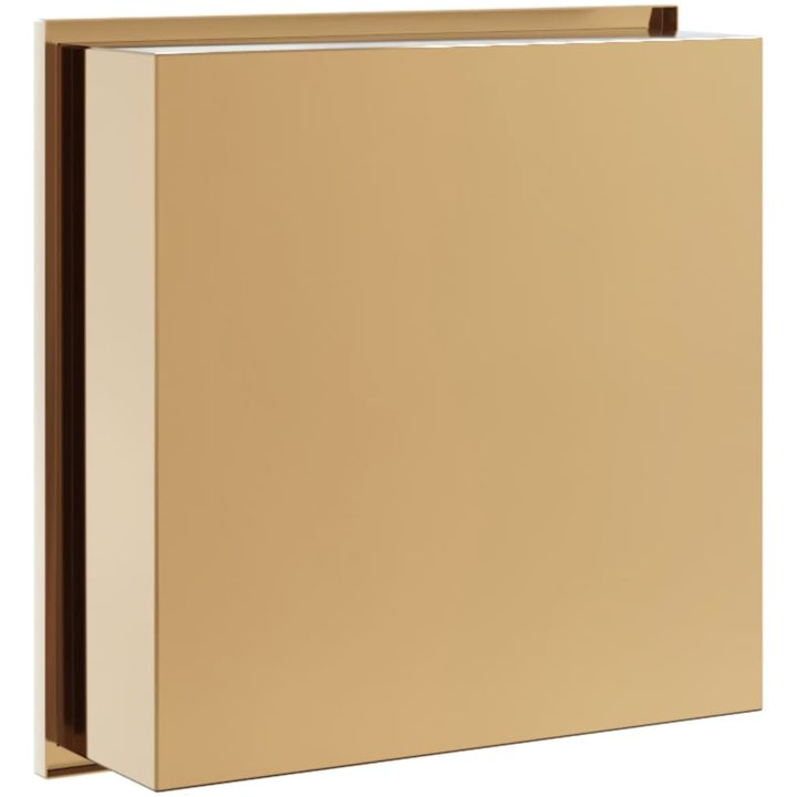 Duschnisch borstad guld 32x32x9 cm rostfritt stål vidaXL – bild 6