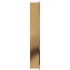 Duschnisch borstad guld 32x62x9 cm rostfritt stål vidaXL – miniatyr 5