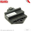 ECU Racing Unlimited (Full Power) DELL ORTO – miniatyr 1