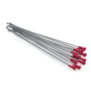 Ekrar NIP Bak 18" KITE