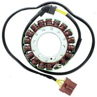 ELECTROSPORT Stator ESG 999 Aprilia RSV R 1000/Factory (04-09)/