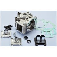 Engine Crankcase (Manif-Reed Valve) POLINI