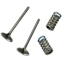 Exhaust Valve Steel - Honda CRF450X Wössner