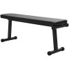 Fällbar Viktbänk 100 kg Svart 107x27x41 cm Stål vidaXL Medium – miniatyr 1