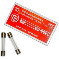 FINSÄKR 6x32 10,0A TRÖG 10/FP