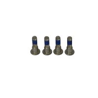 Fixeringsskruv Bromsskiva Standard TRW