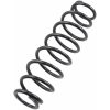 Fjäder heavy duty EPI SPRING SUSP RR HD POL – miniatyr 2