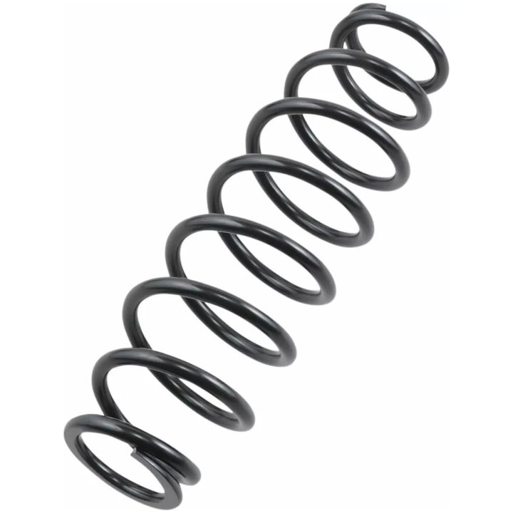Fjäder heavy duty EPI SPRING SUSP RR HD POL – bild 2