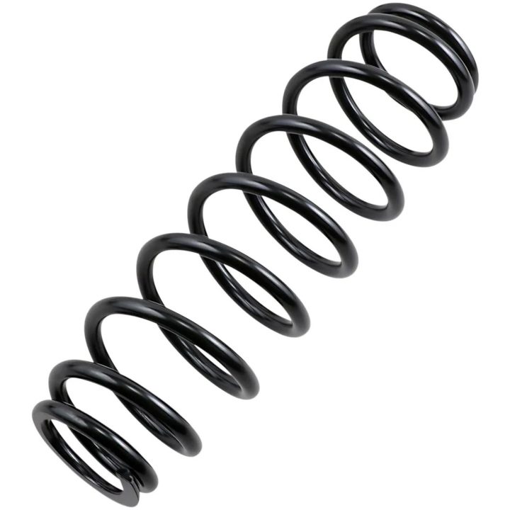 Fjäder heavy duty EPI SPRING SUSP RR HD POL – bild 2
