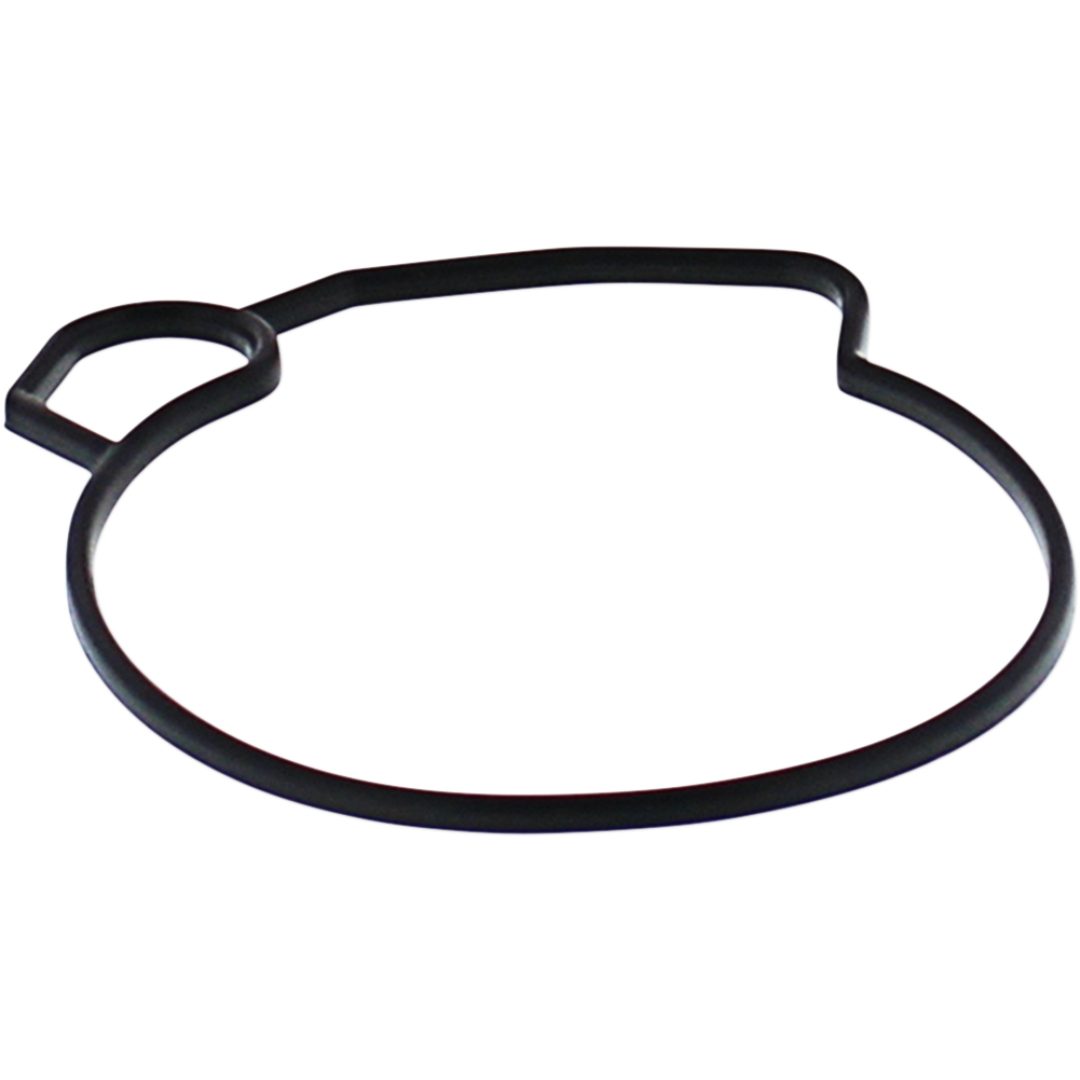Flottörpackning MOOSE RACING GASKET