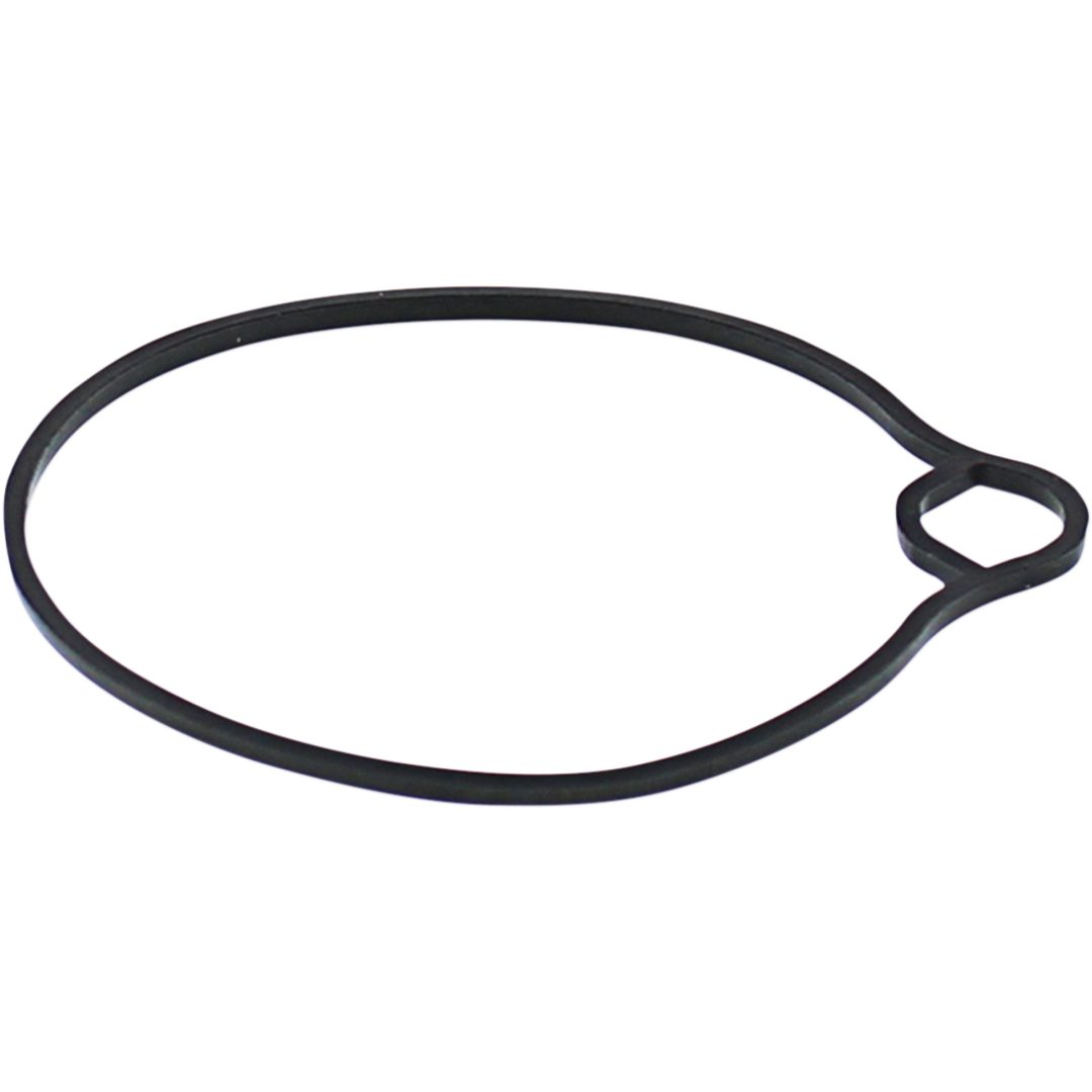 Flottörpackning MOOSE RACING GASKET