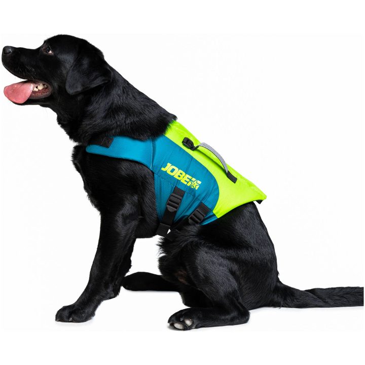 Flytväst Pet Lime Teal Jobe M – bild 2