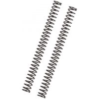 Fork Springs BMW C400 X/GT YSS