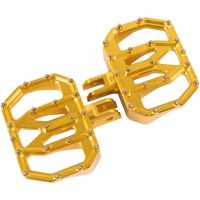 Fotplattor Mini Aggressor Guld THRASHIN SUPPLY CO.