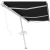 Fristående markis manuellt infällbar antracit vidaXL 600 x 300 cm – miniatyr 3