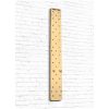 Funktionell träning peg board - 2420 mm Master Fitness – miniatyr 1