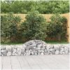 Gabion bågformad 5 st galvaniserat järn vidaXL 200 x 30 x 40/60 cm – miniatyr 1